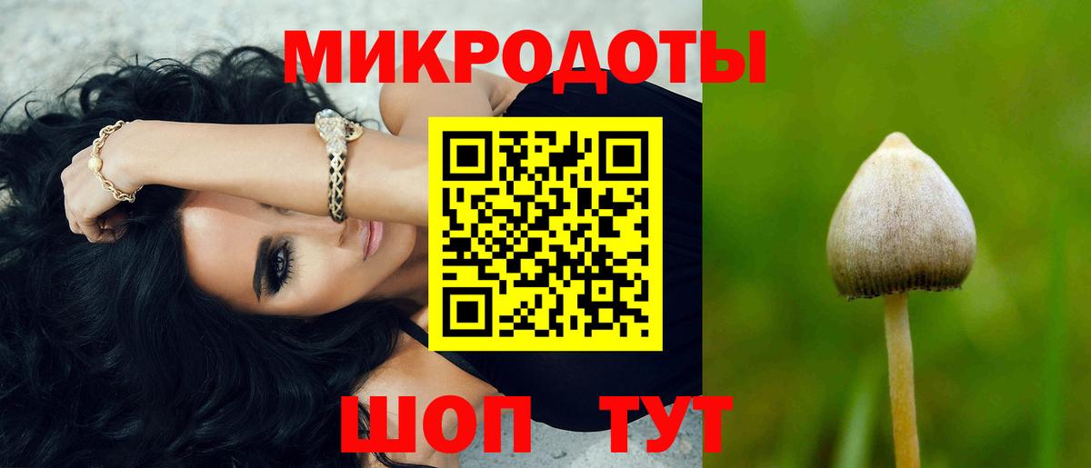 Псилоцибиновые грибы мухоморы Северобайкальск