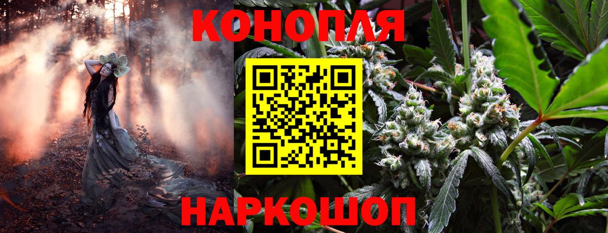 МАРИХУАНА семена Северобайкальск